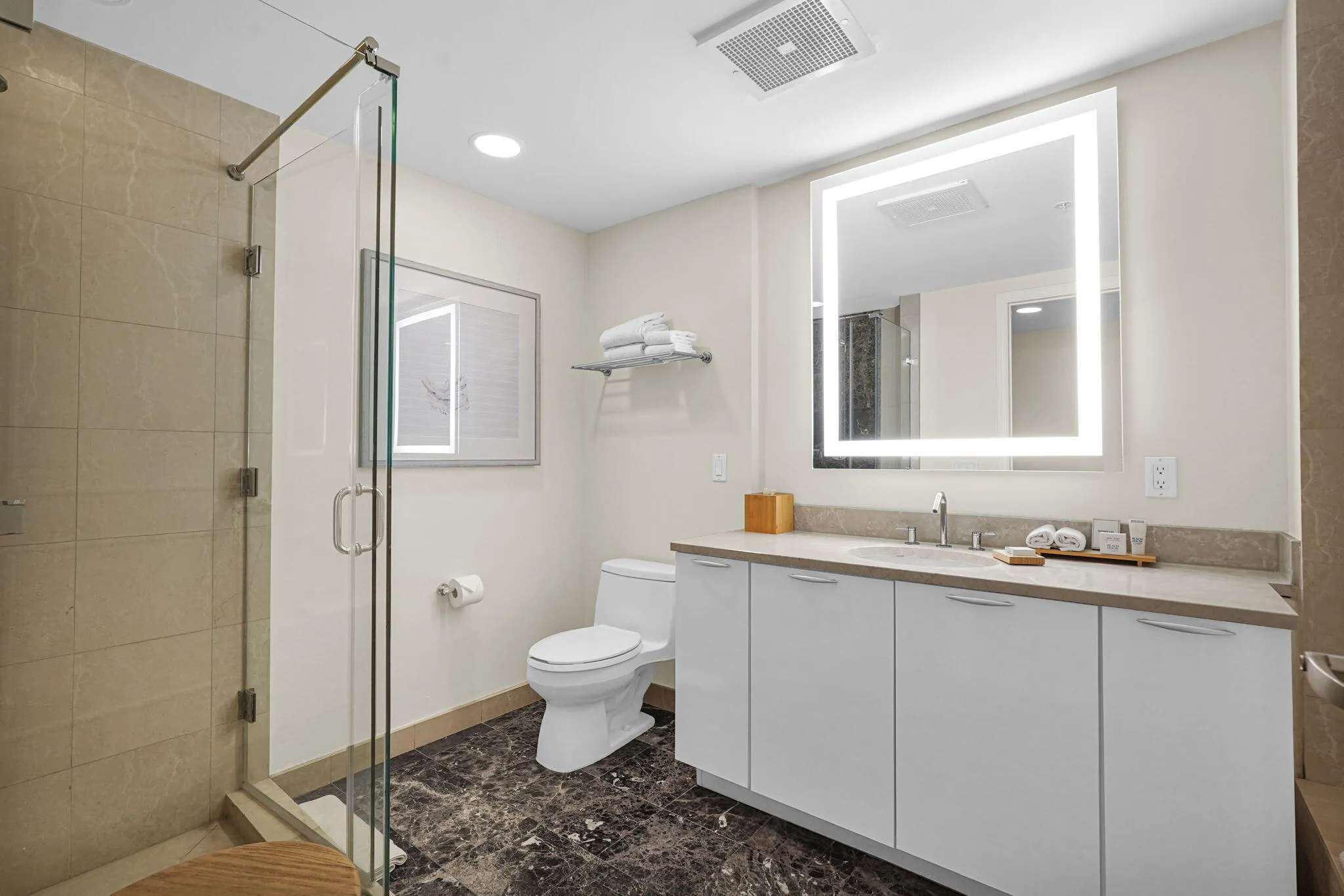 Separate Shower and Tub