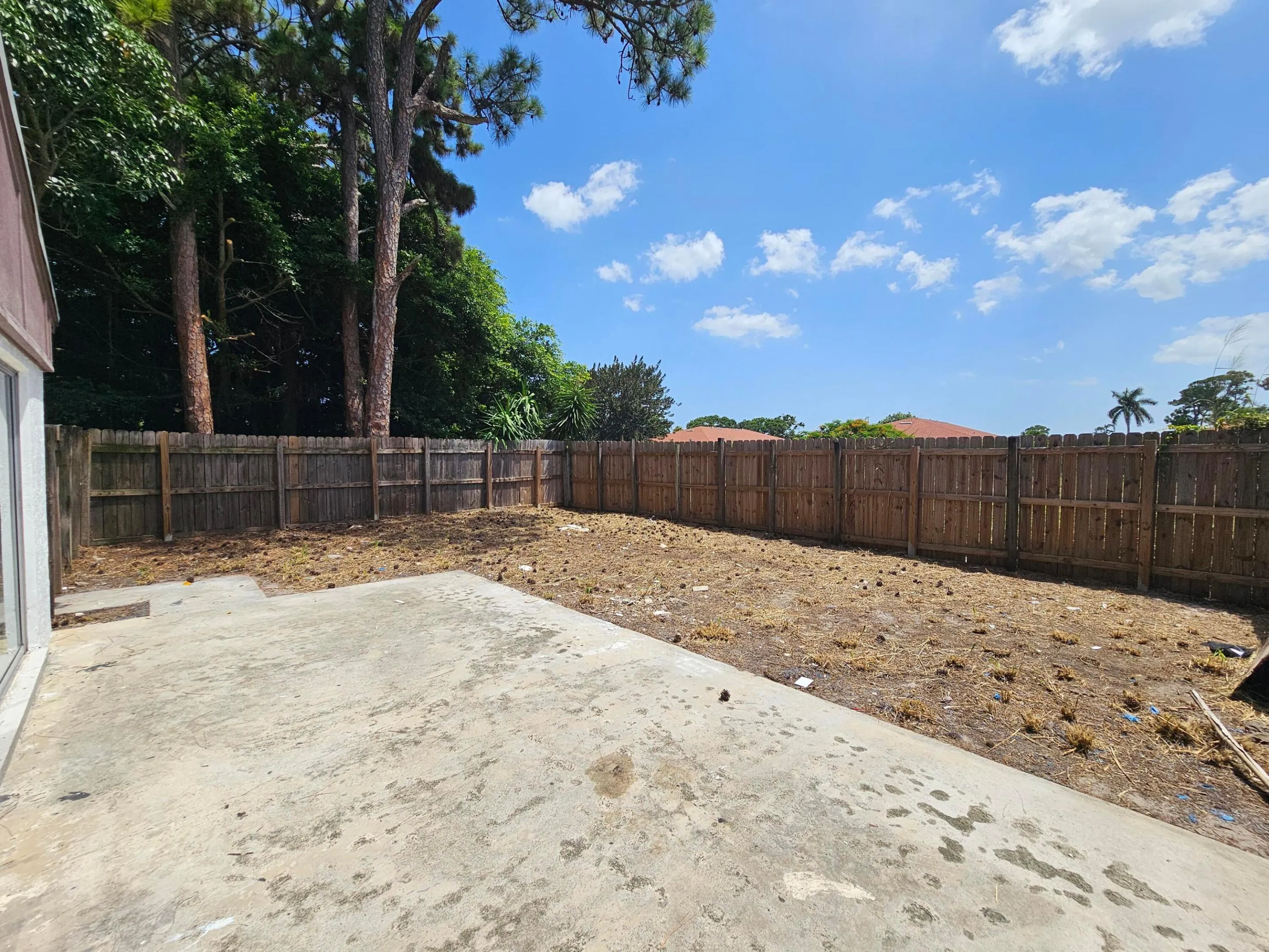 Yard (2)