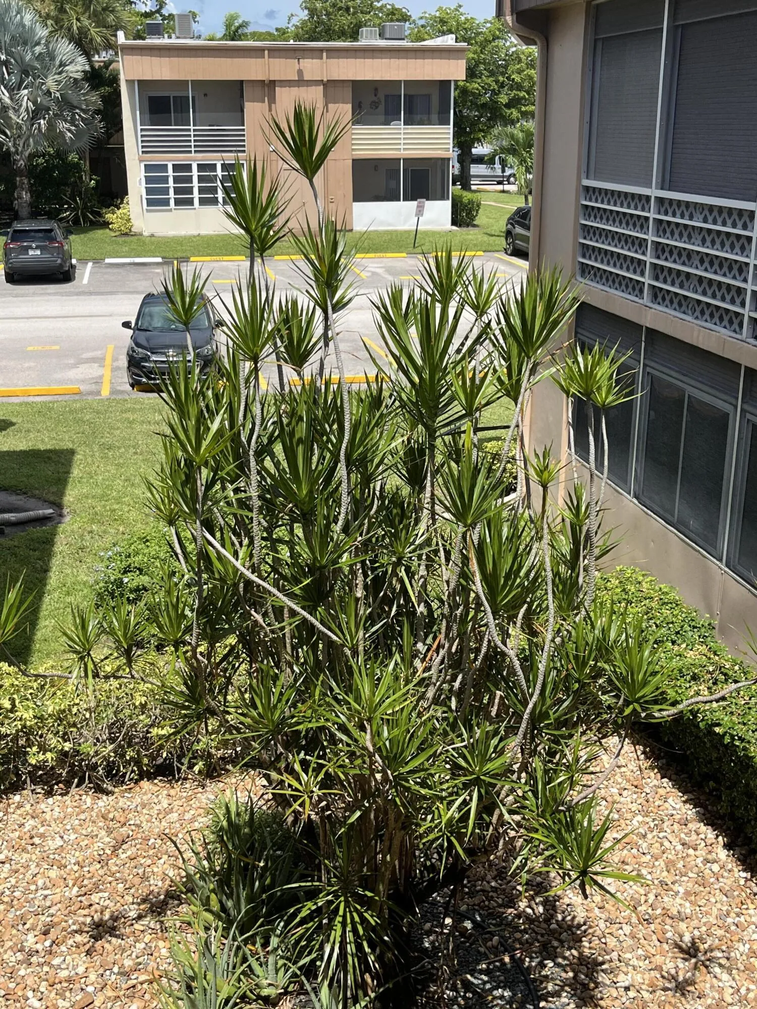 VIEW FROM YOUR FRONT DOOR