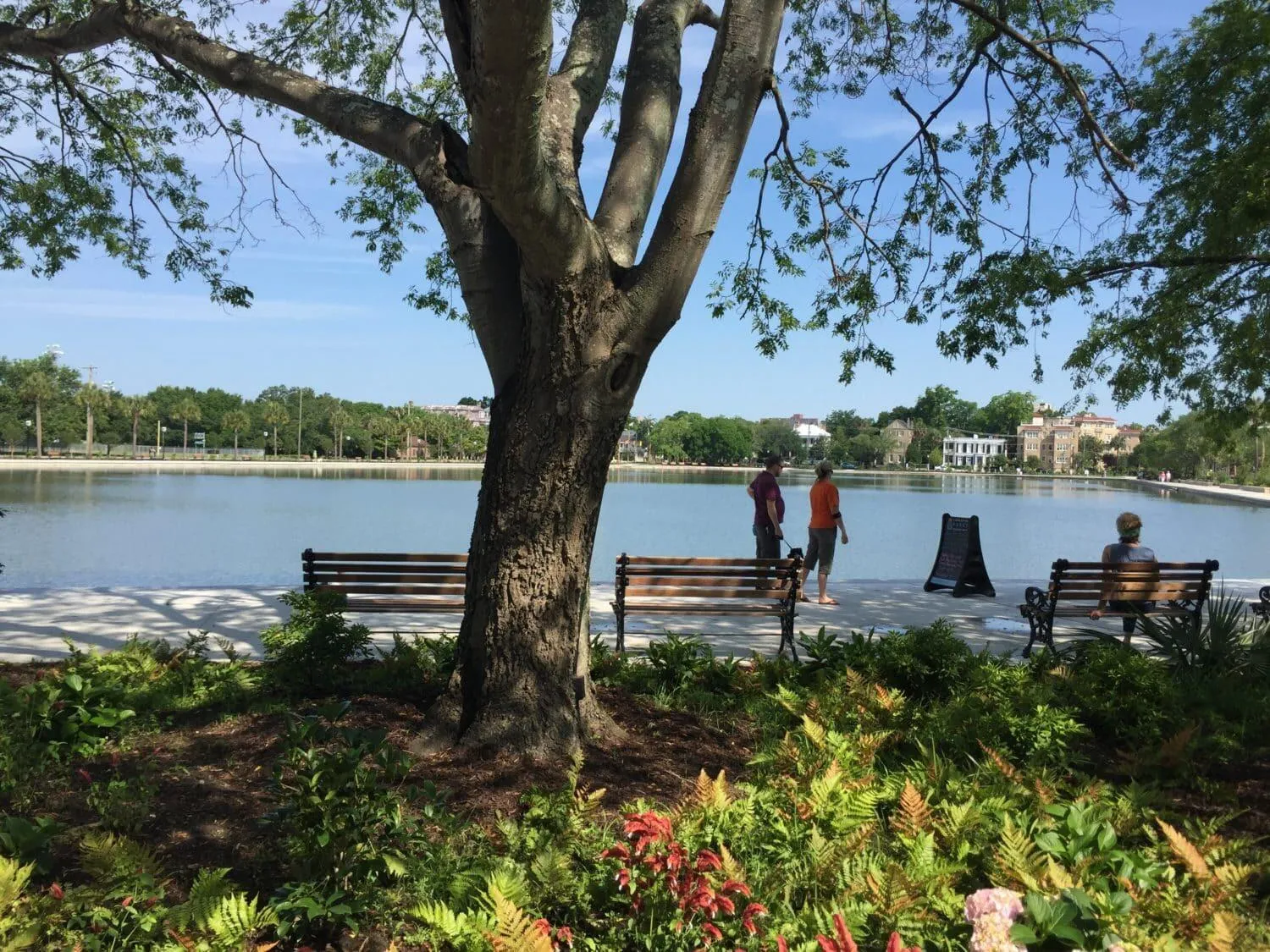 colonial-lake_0525-3