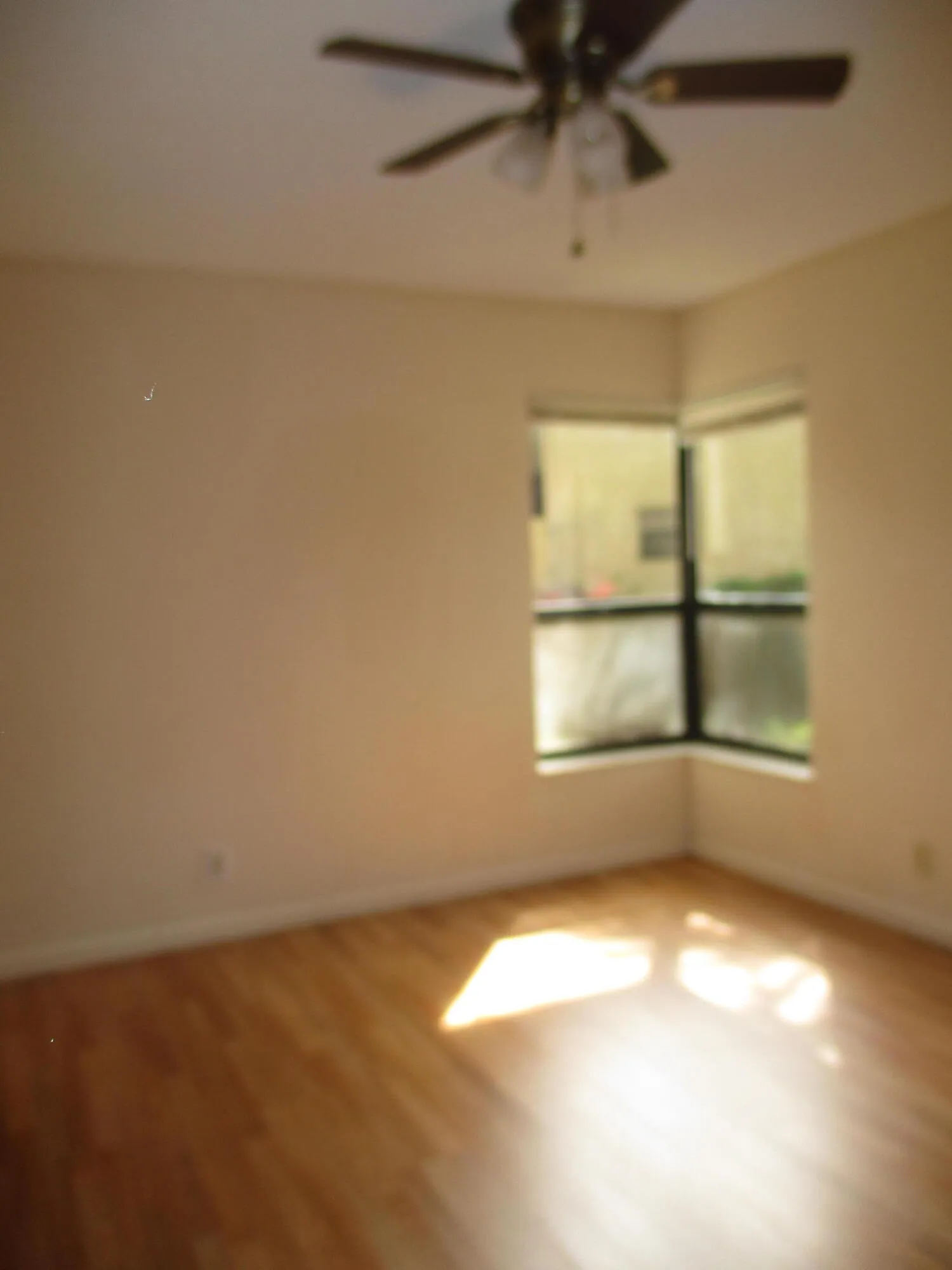Dinning Room & Living Room 2