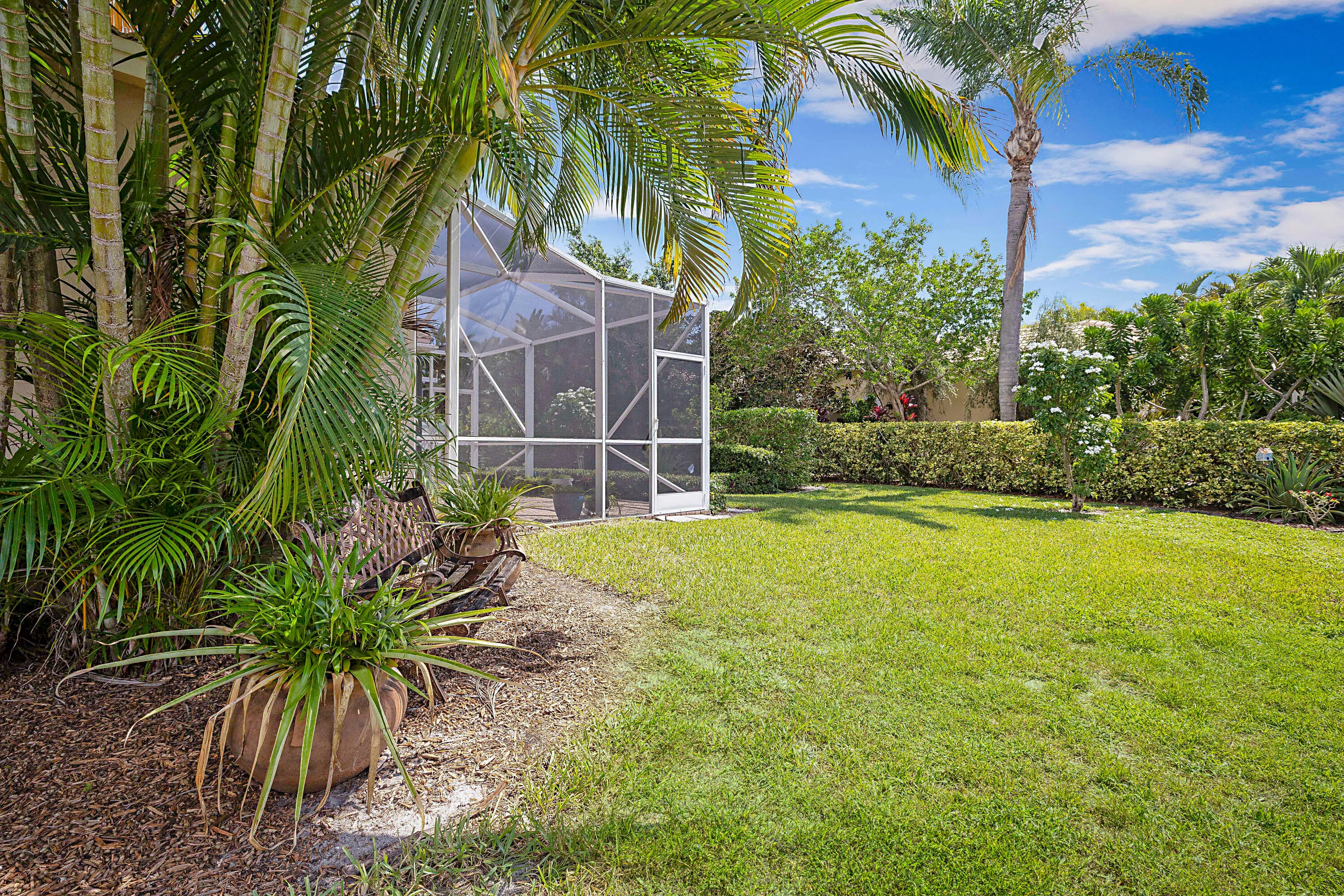 Garden/Backyard