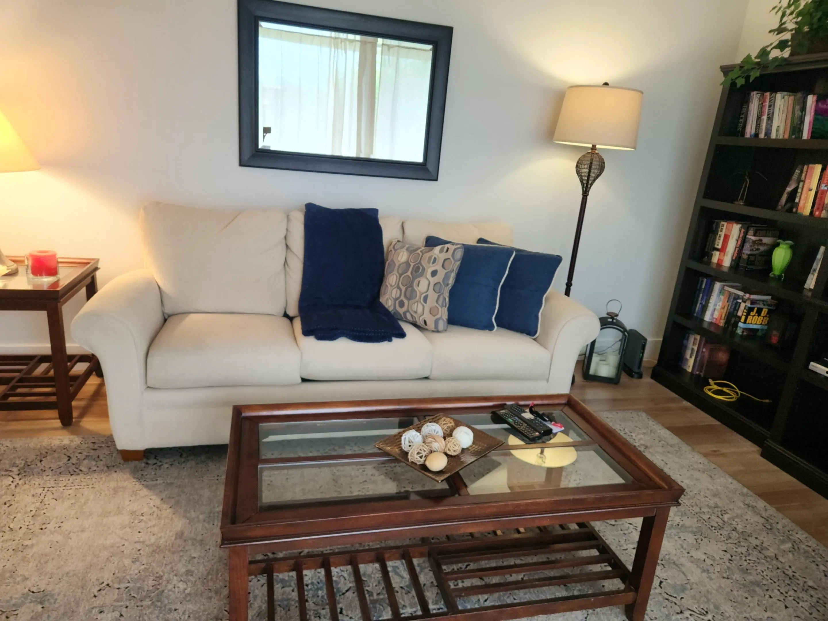 Pull Out Couch