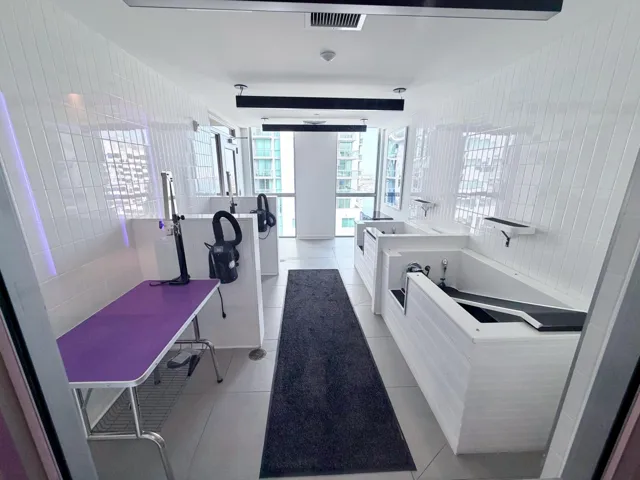 Top Floor (Pet Grooming)