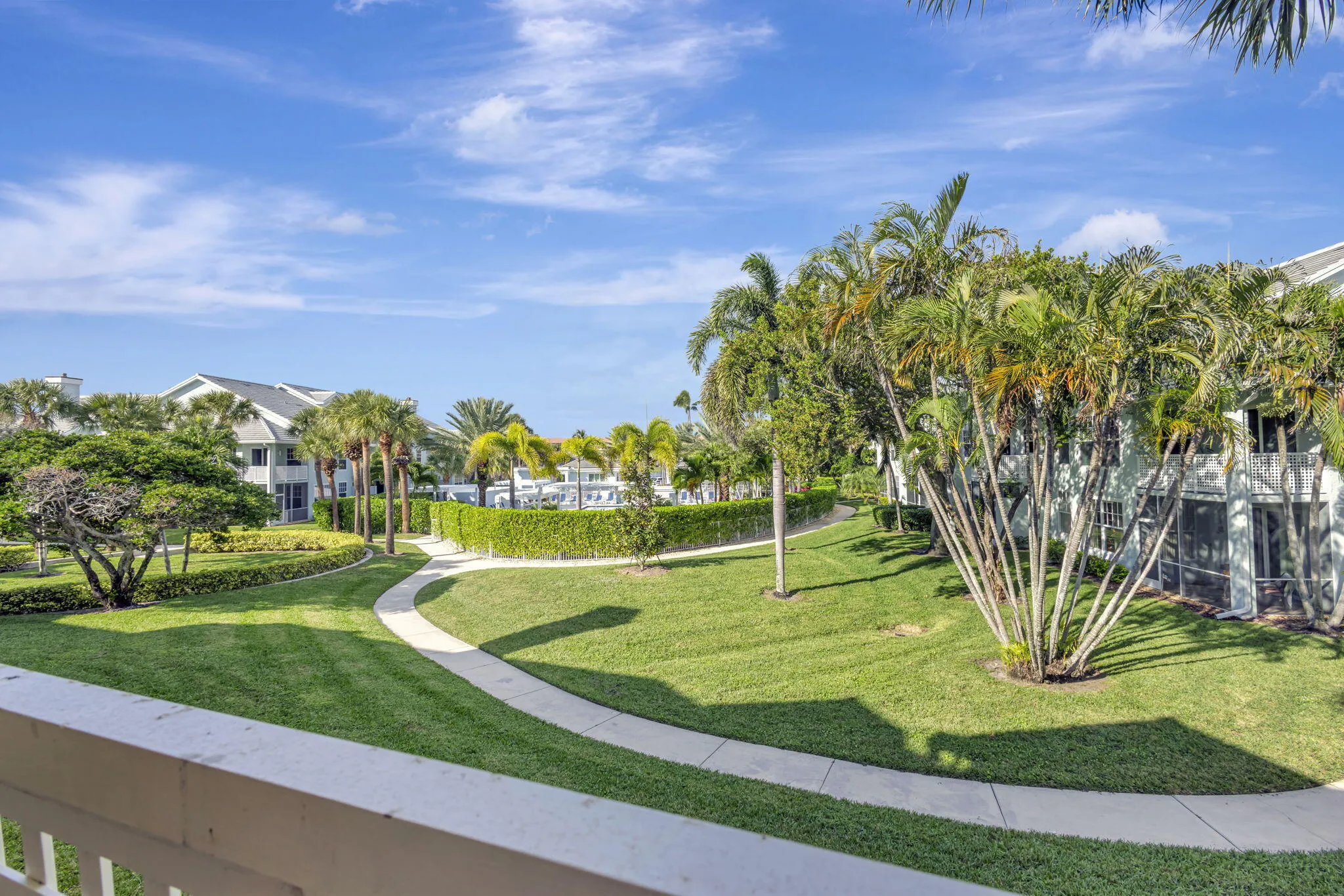 26-web-or-mls-5P1A4923