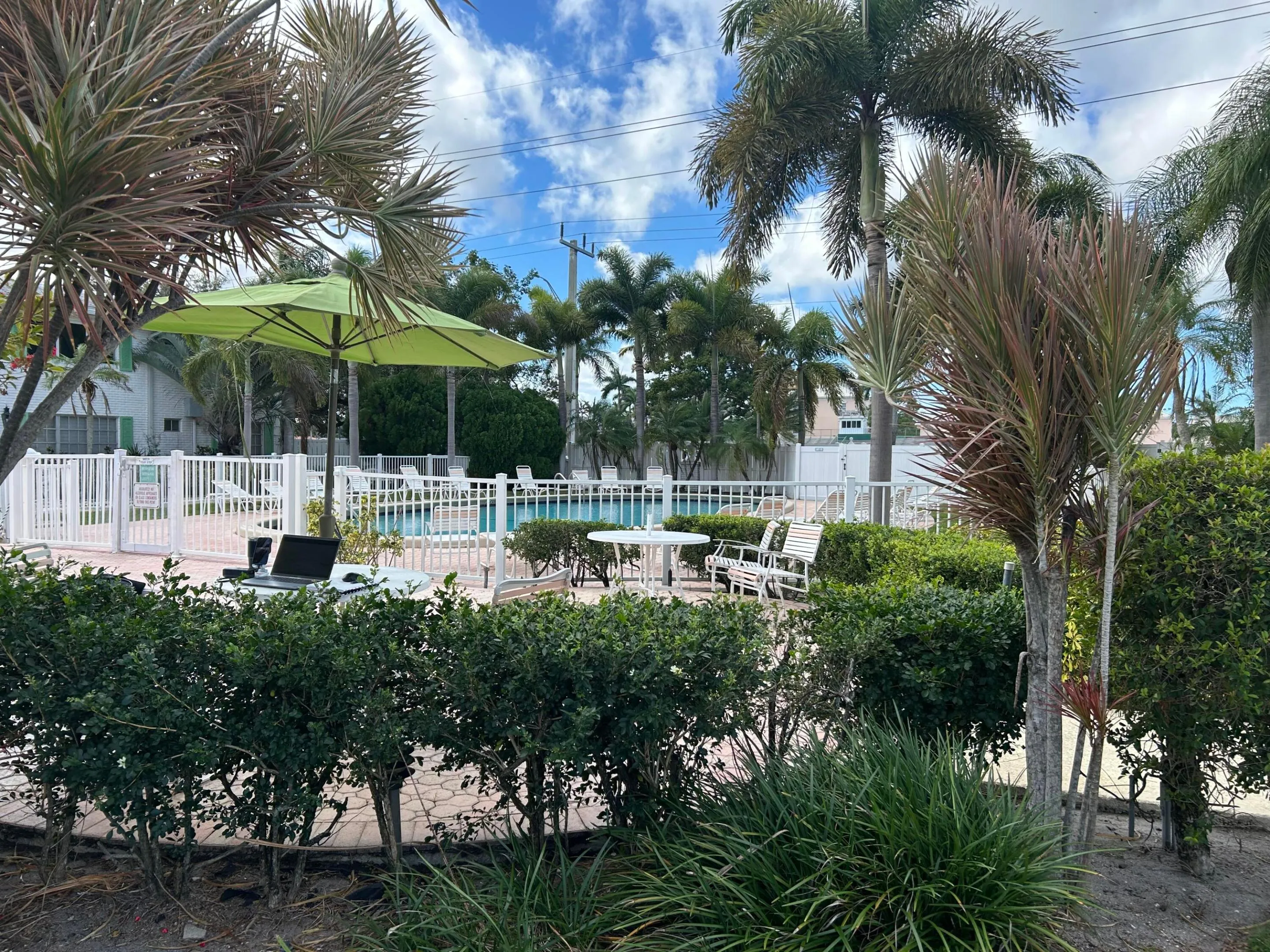 Grounds