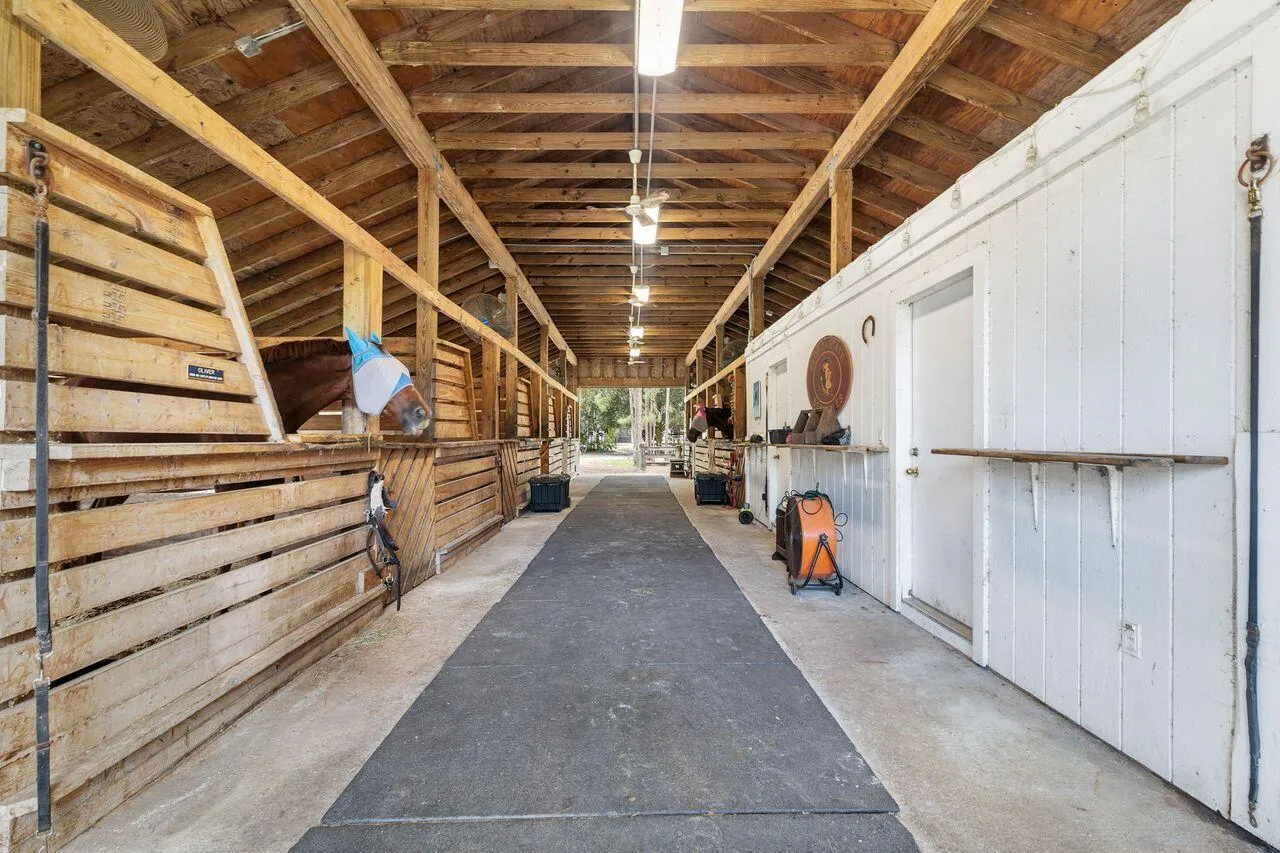Property photo 39