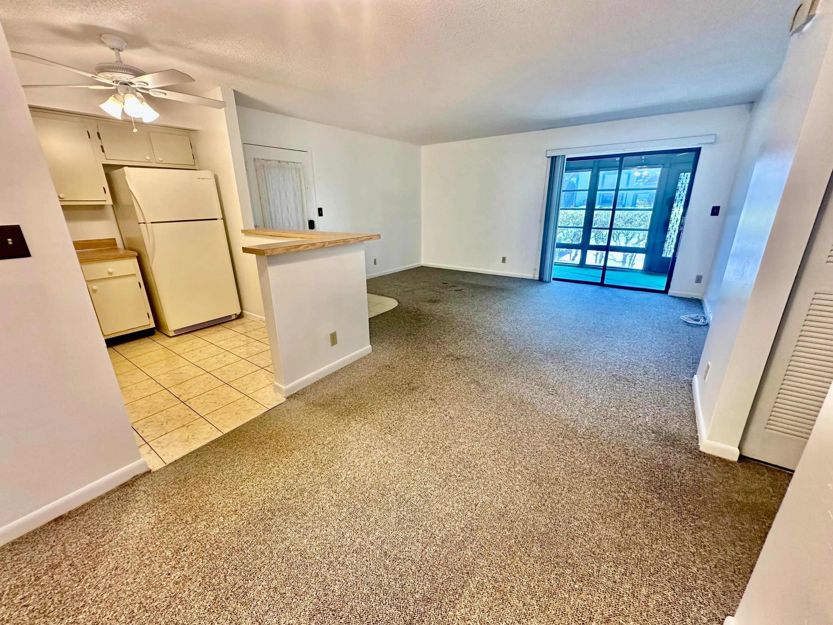 Standing in the Dining area looking back