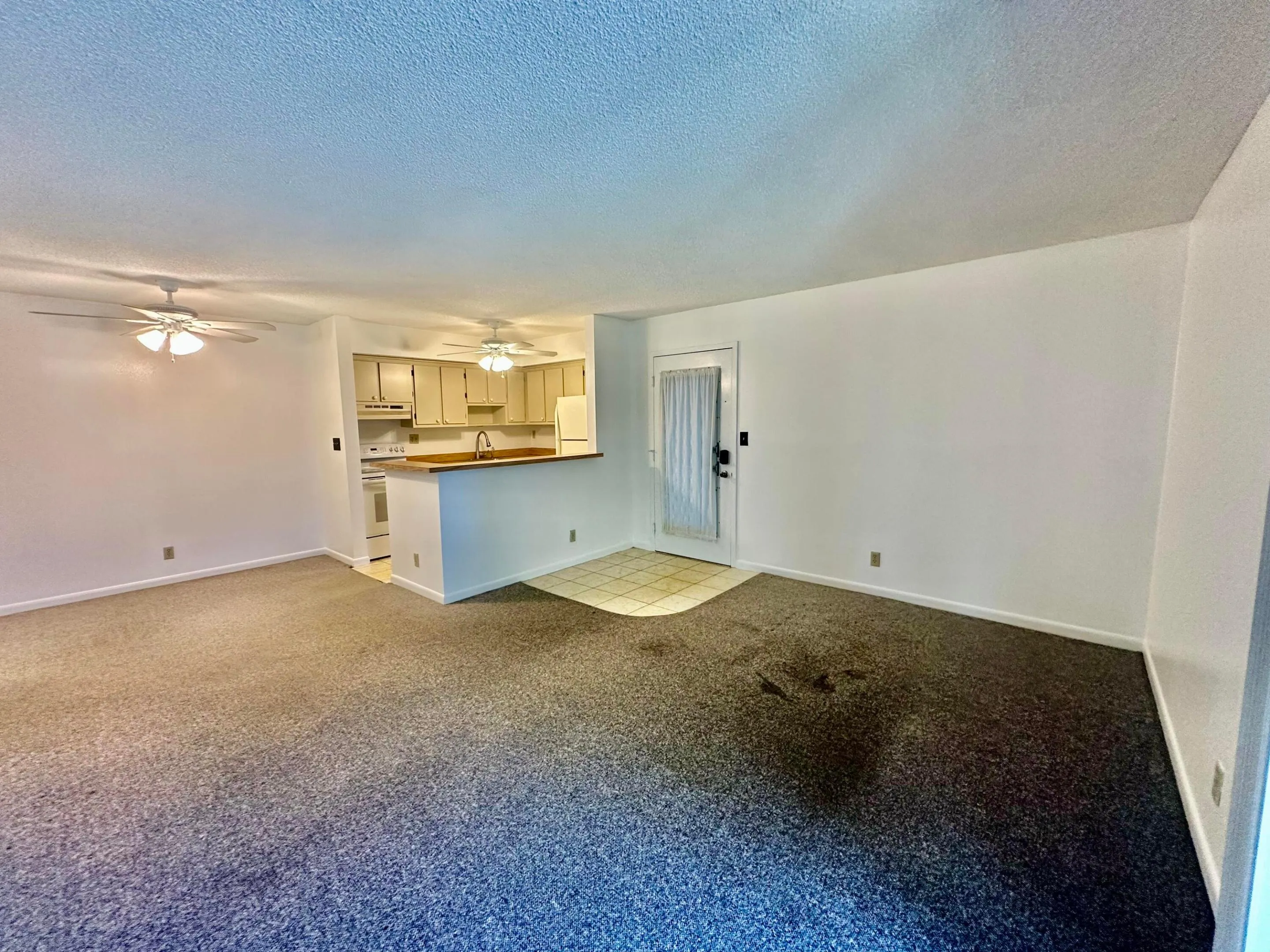 Living/Dining and Kitchen