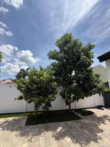 Fruit Trees