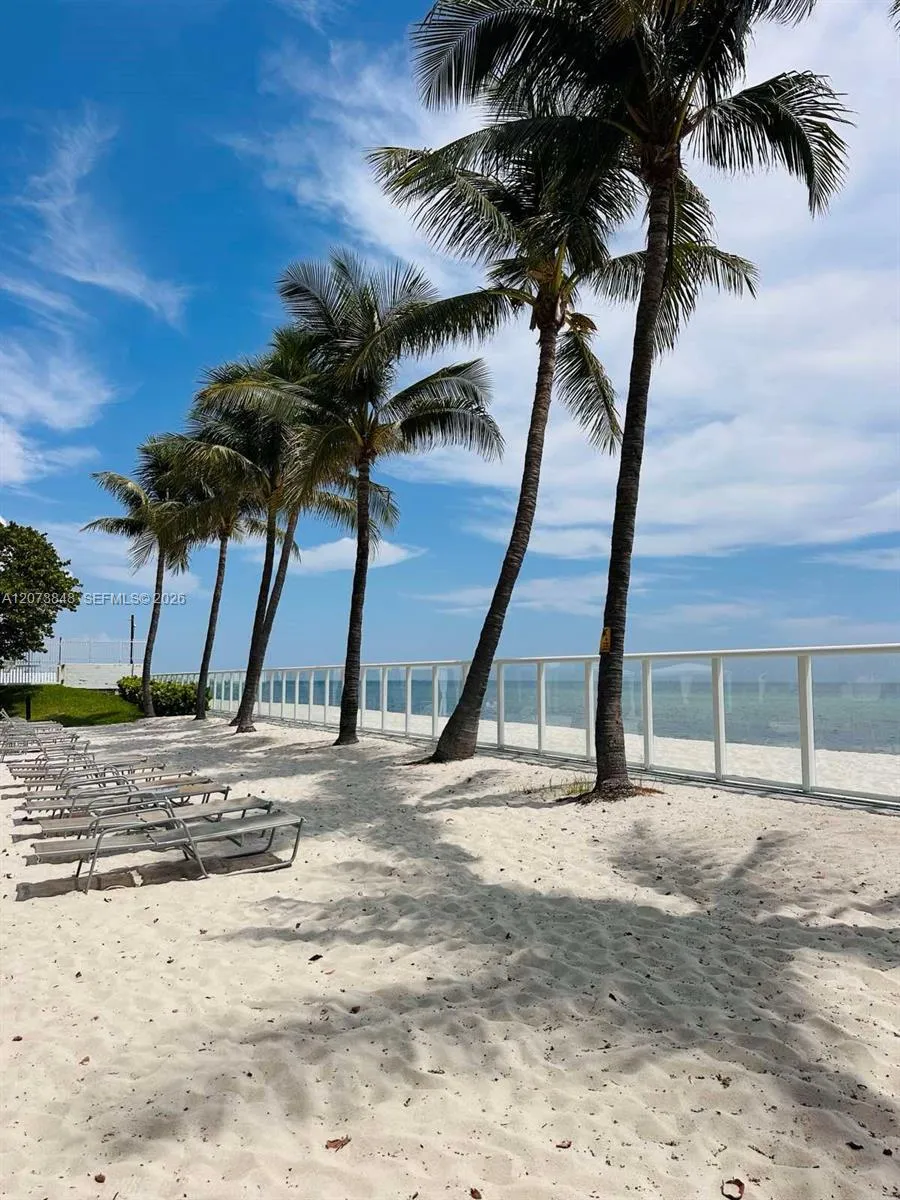 Beach Lounges