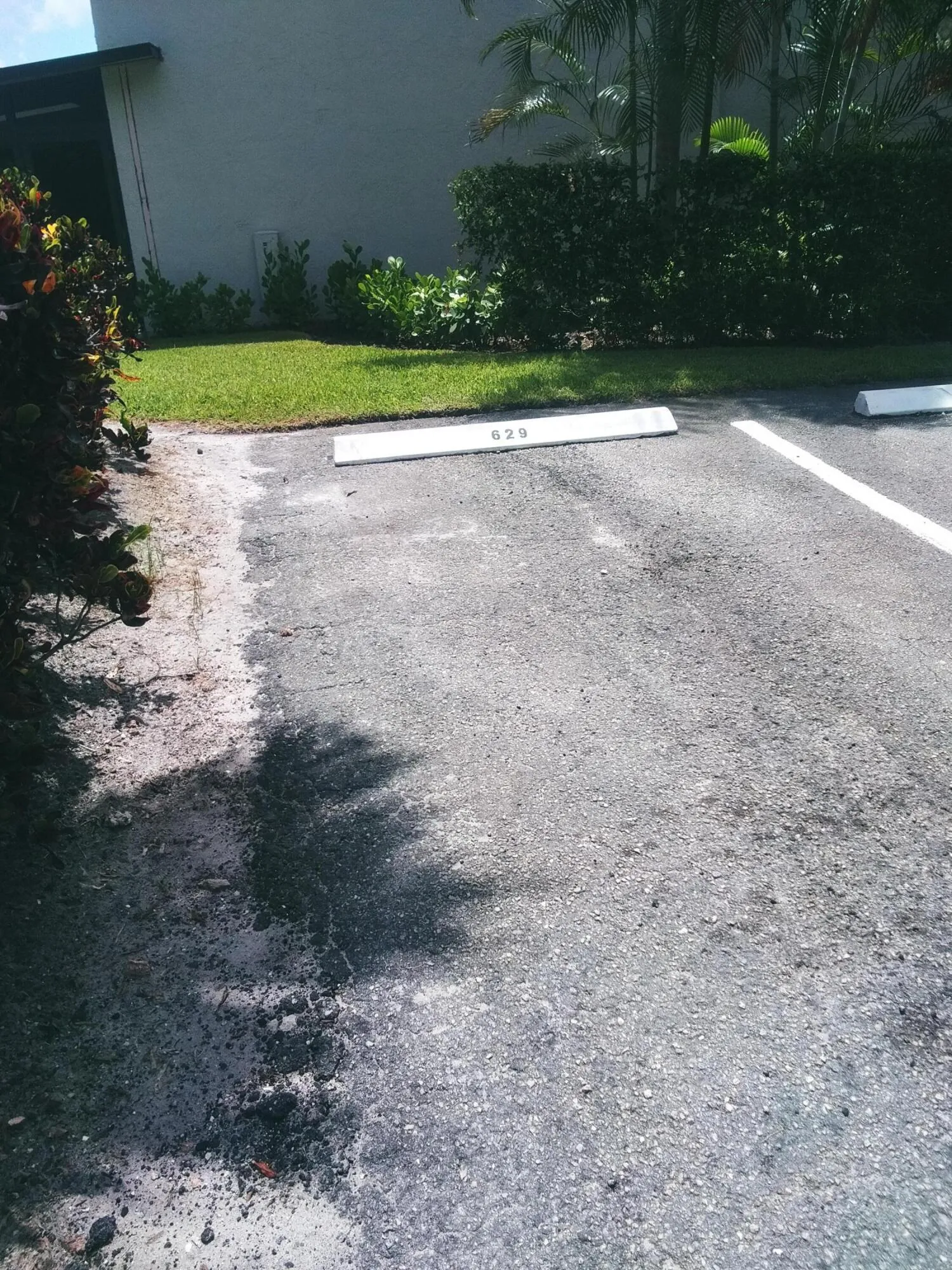 Property photo 44