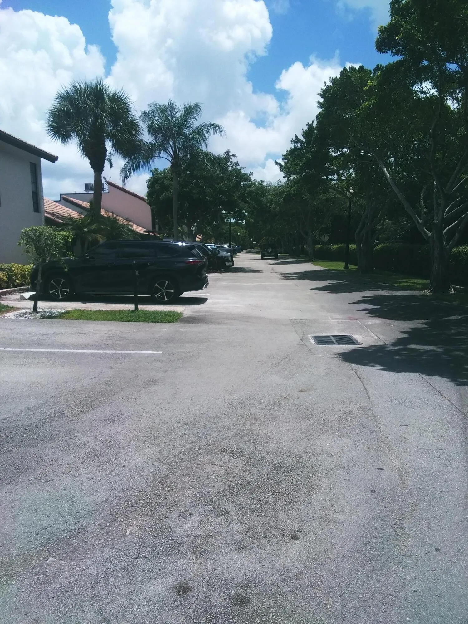 20240724_125111 (1)