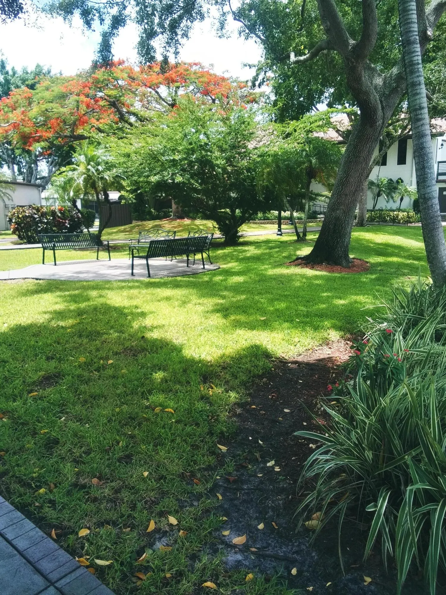 Property photo 35