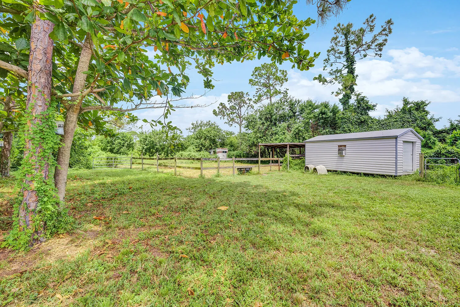 Front Yard
