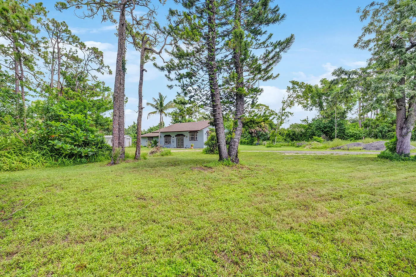 Front Yard