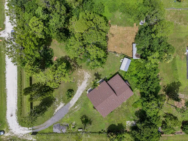Drone View