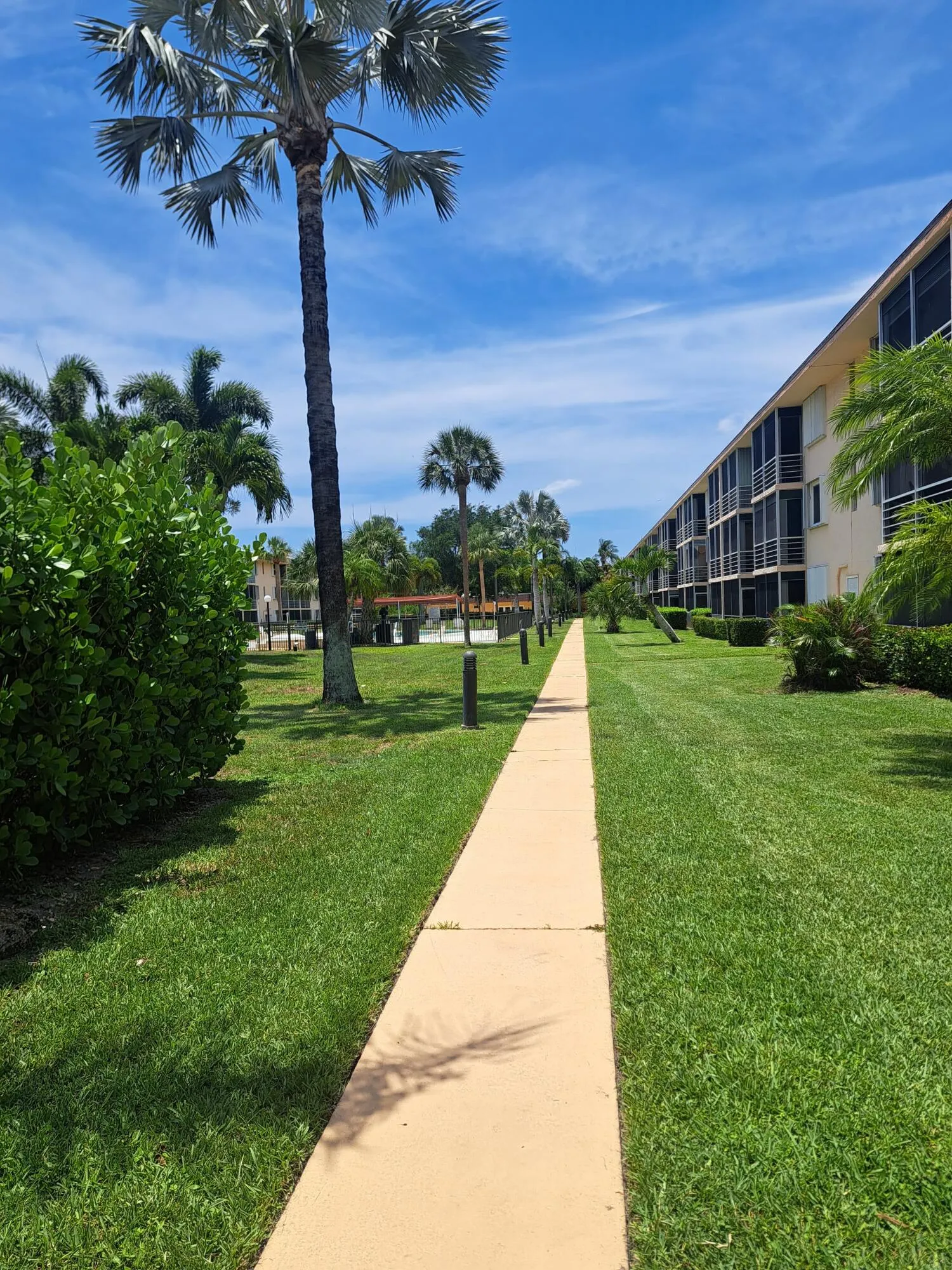 Path