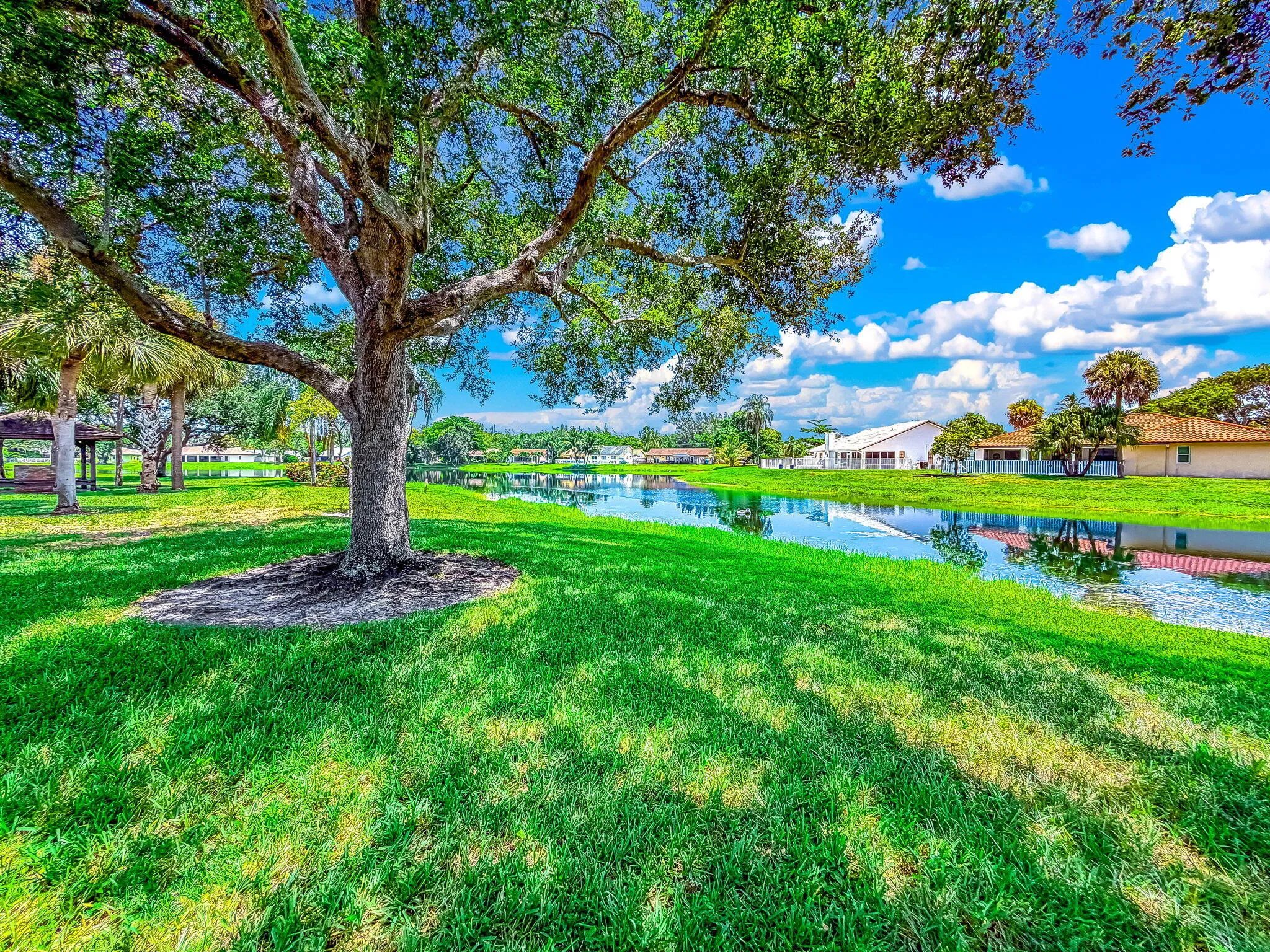 51-web-or-mls-JOY_052785