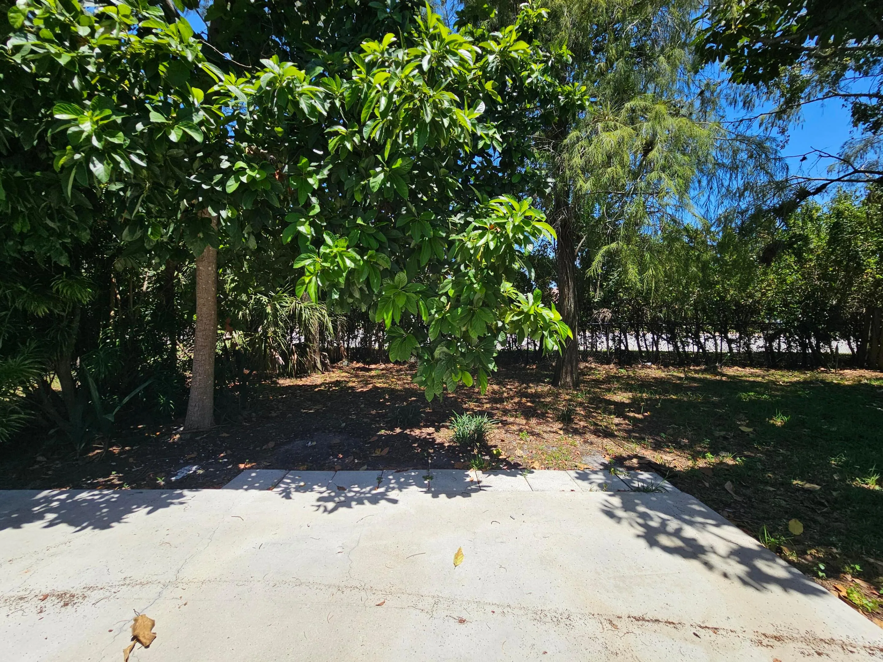 Yard