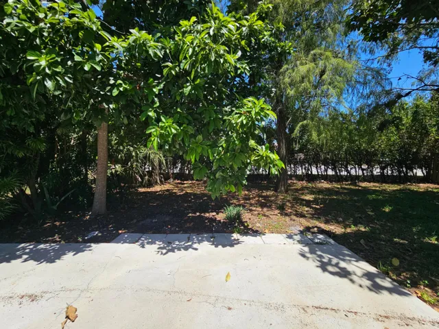 Yard