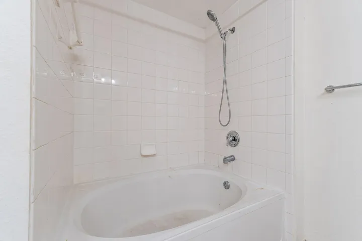 Master shower tub