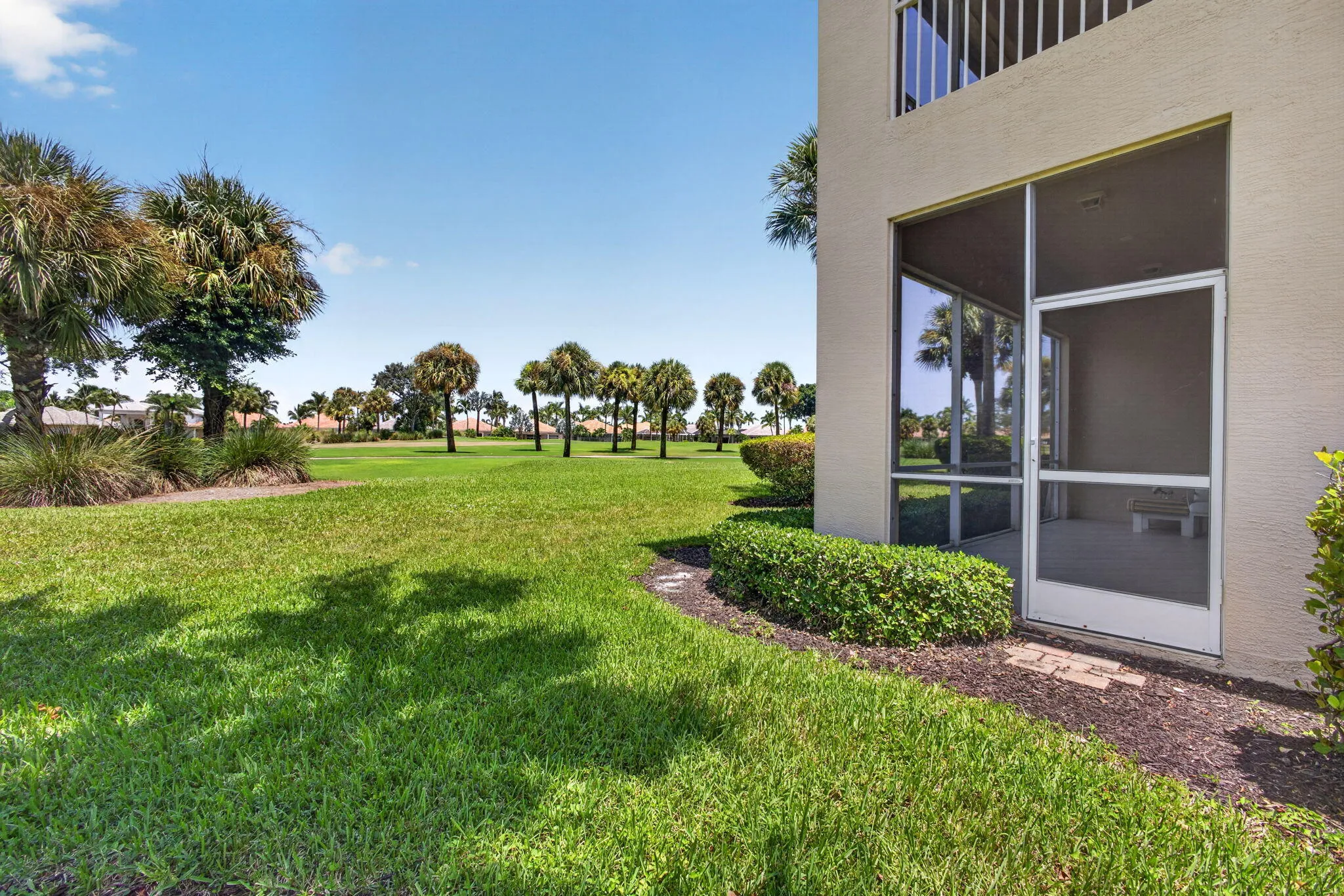 52-web-or-mls-5D1A3477