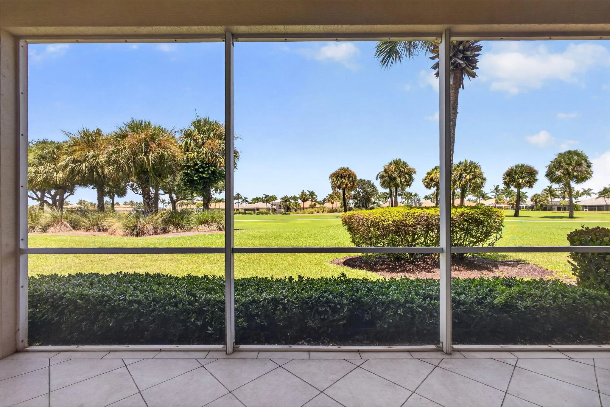 51-web-or-mls-5D1A3473