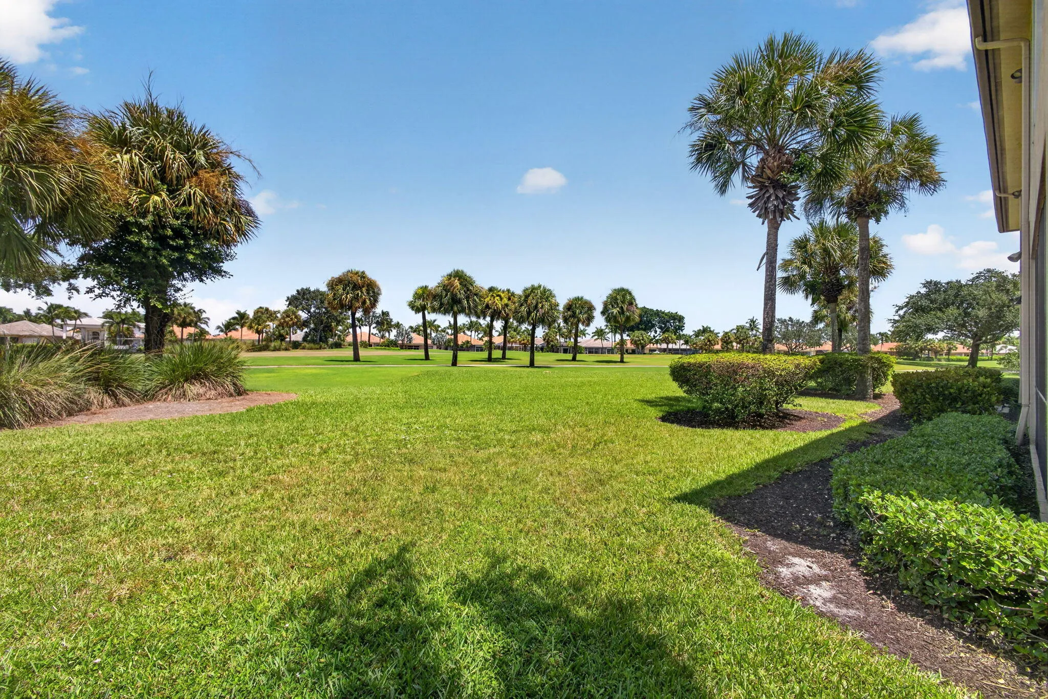53-web-or-mls-5D1A3484