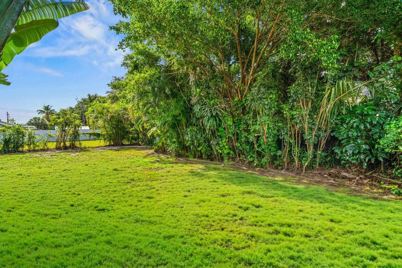Fenced Yard