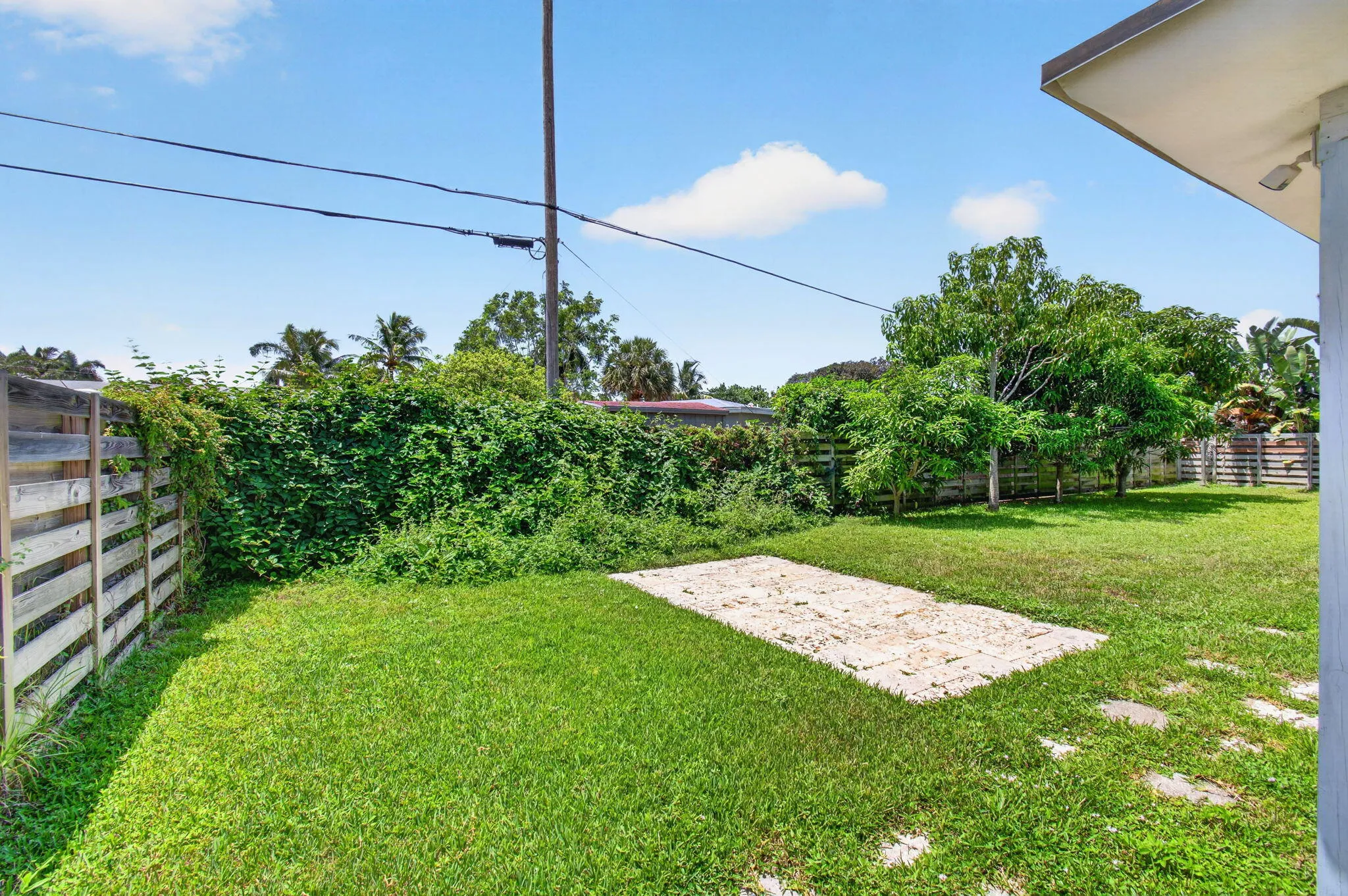 Backyard