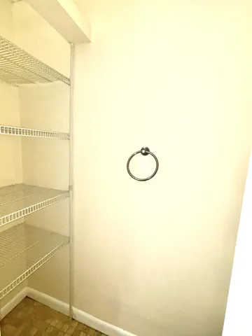 Bathroom closet