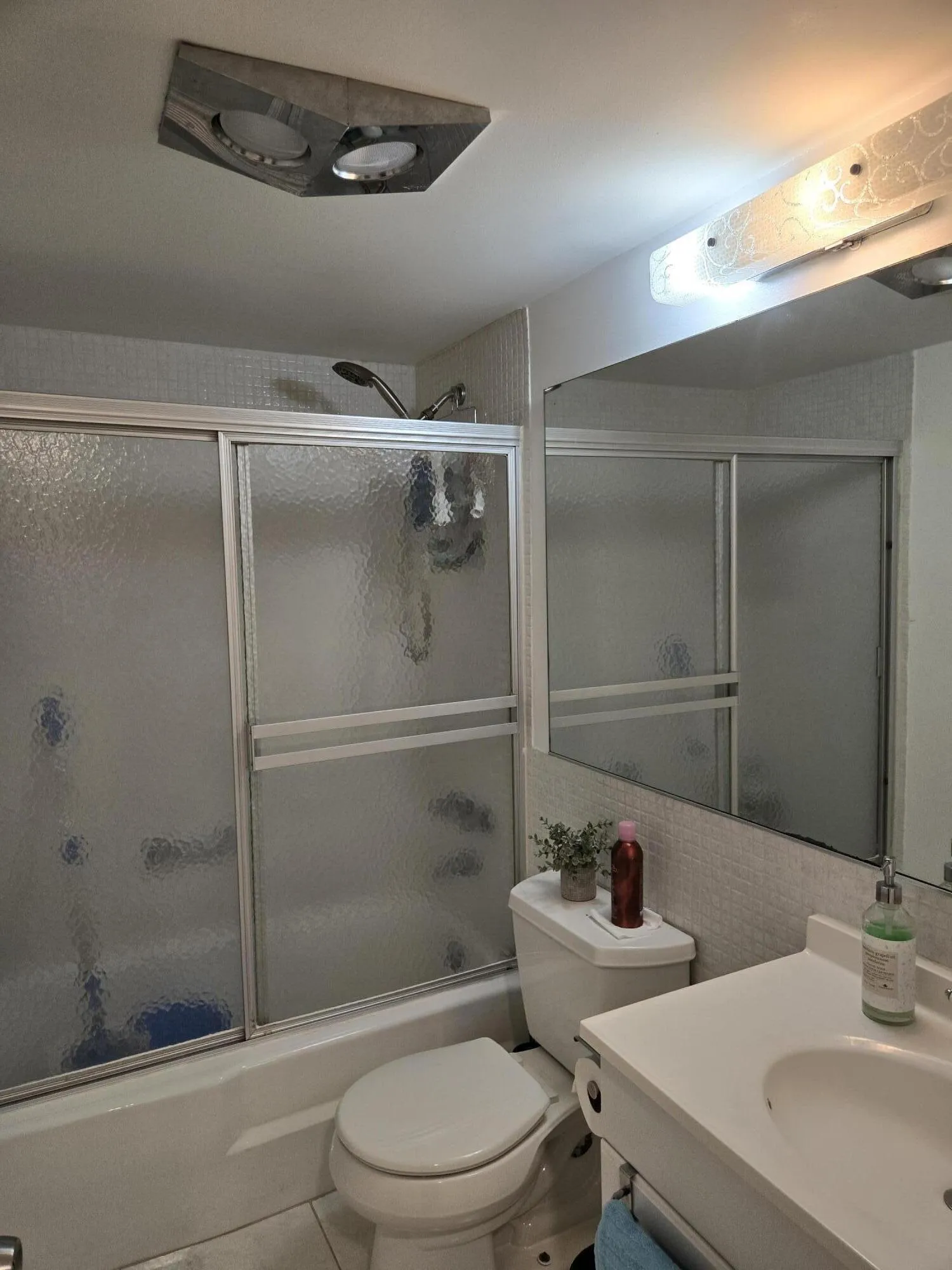 Hall Bathroom