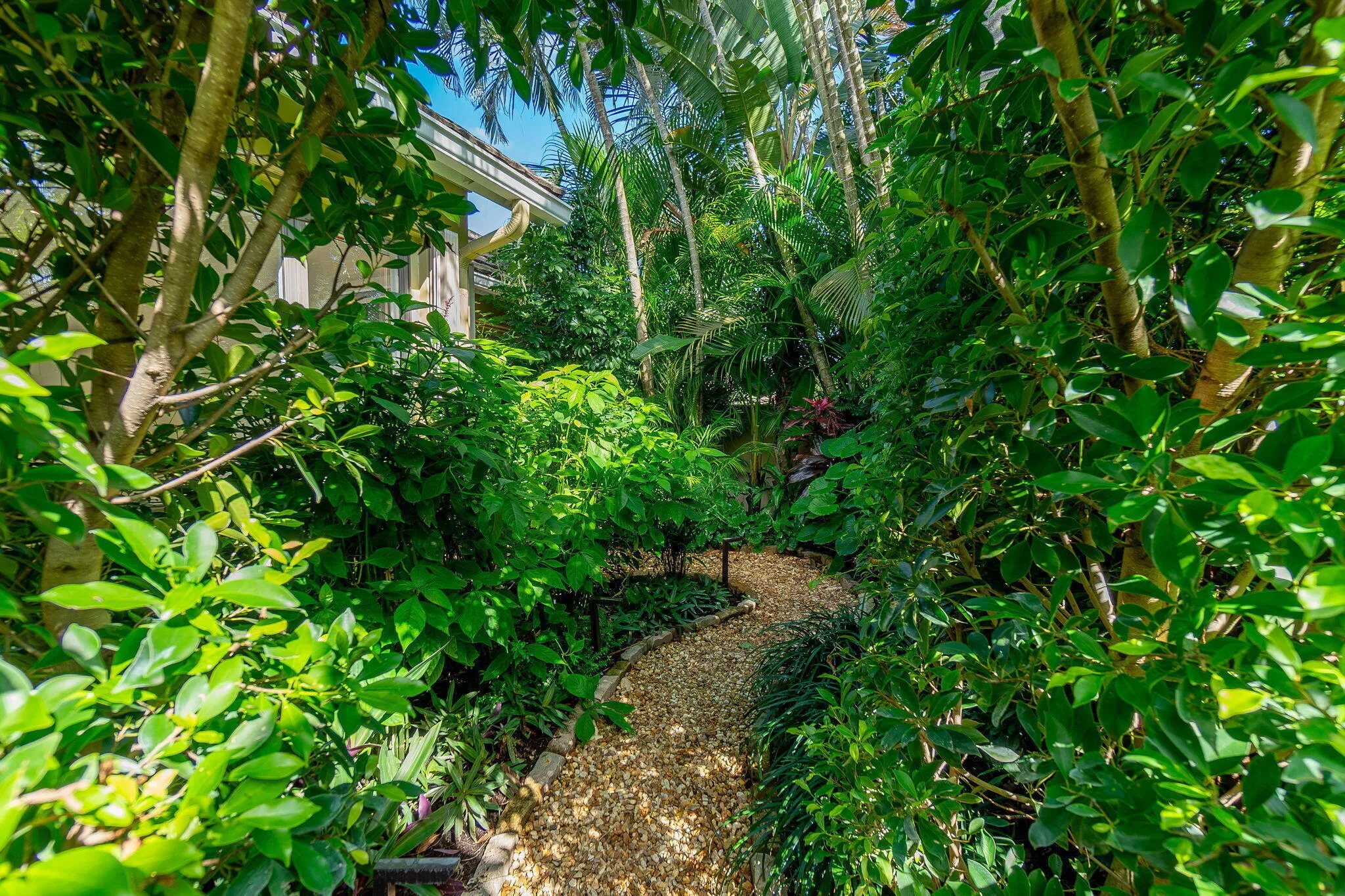 Property photo 49