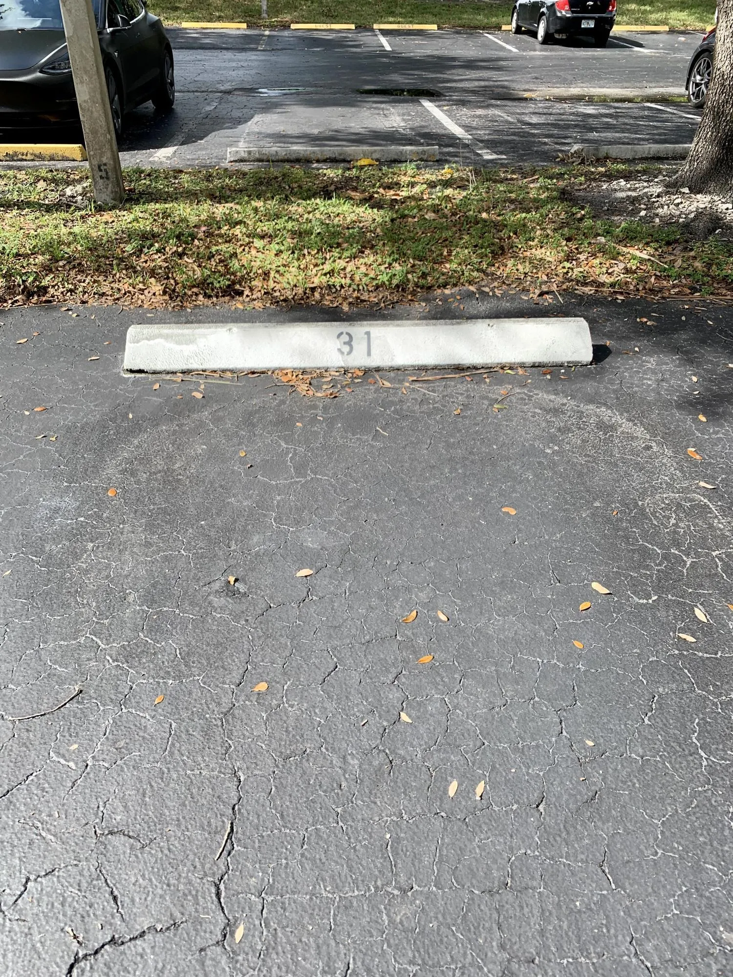 Designated parking space featuring a concrete parking stop with visible numbering, surrounded by asphalt paving and bordering a landscaped strip with ground cover