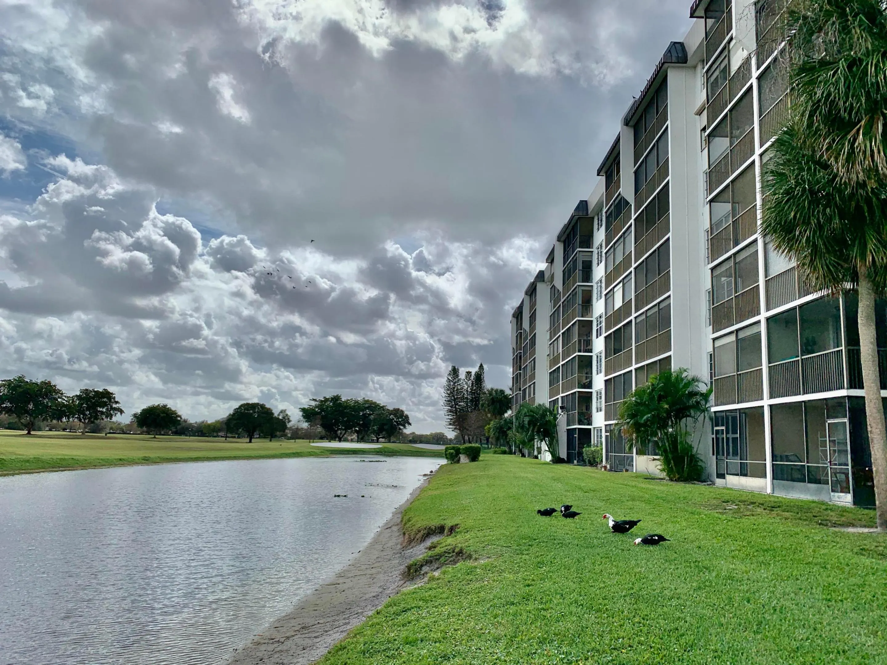 Multi-story residential building with screened balconies overlooking a waterway and expansive green space