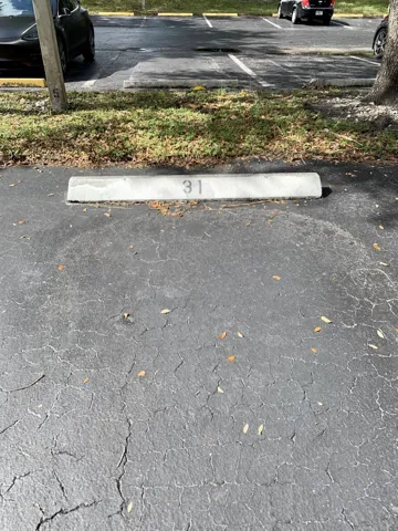 Designated parking space featuring a concrete parking stop with visible numbering, surrounded by asphalt paving and bordering a landscaped strip with ground cover