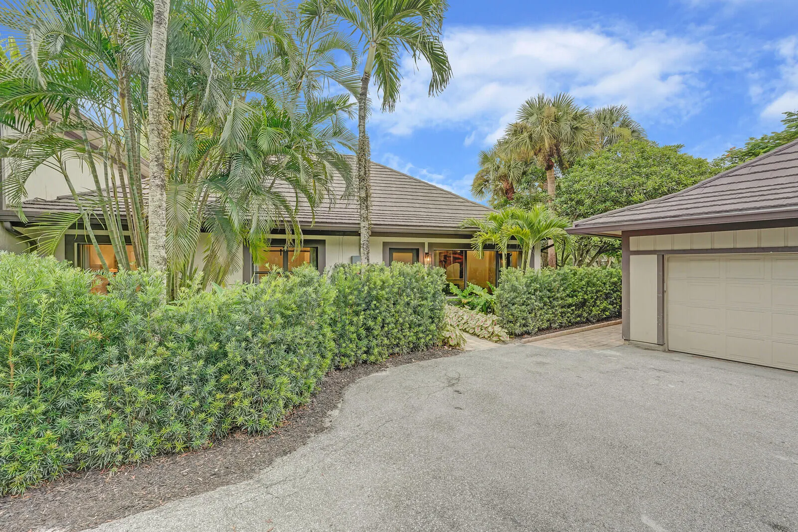 71_Image_60_mls