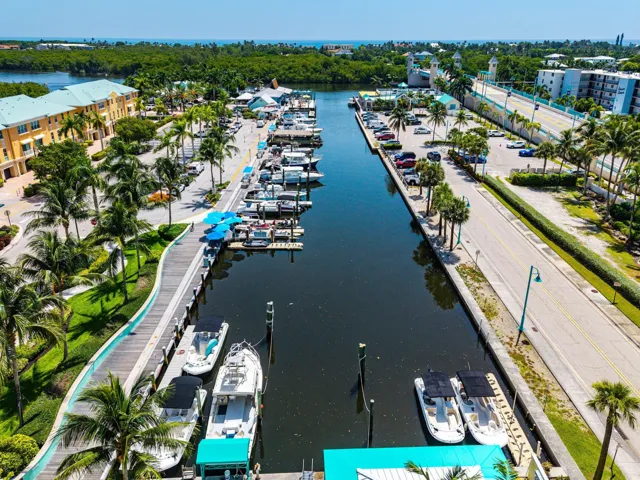 Marina Aerial View