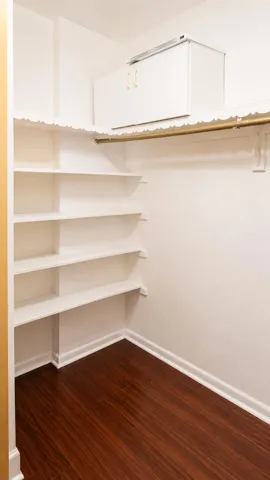 Walk-in Closet