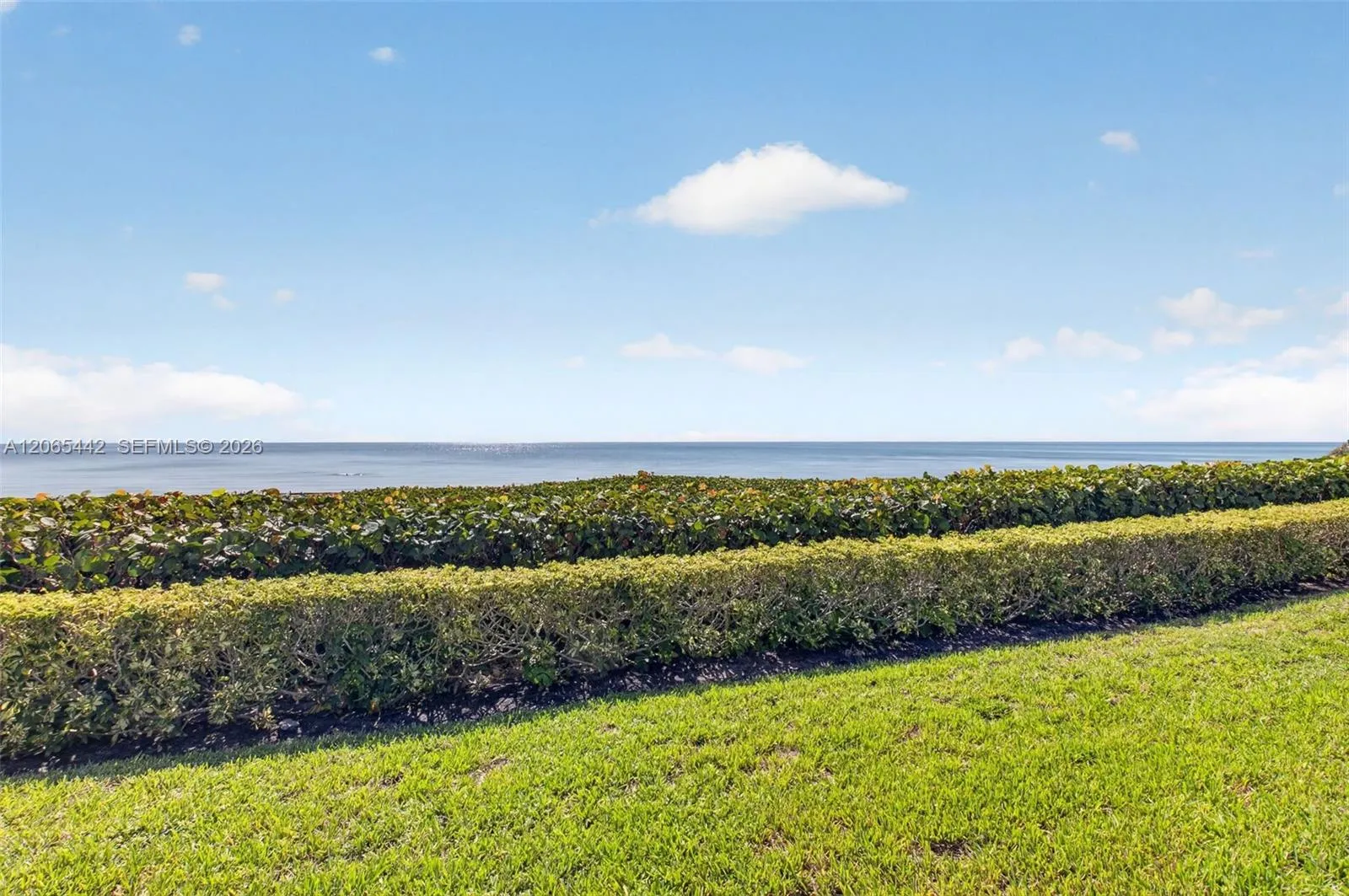 Ocean View