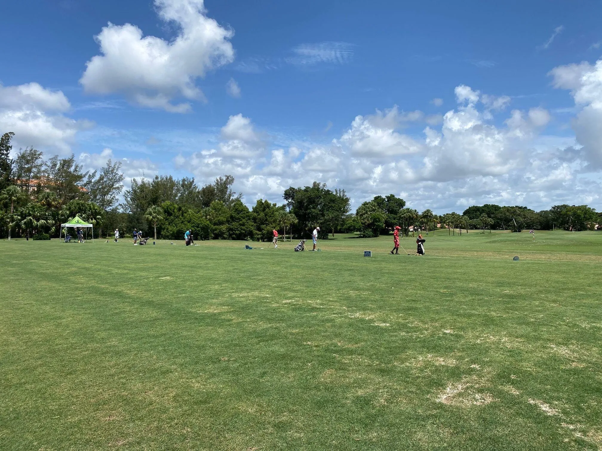 Practice your swing.
