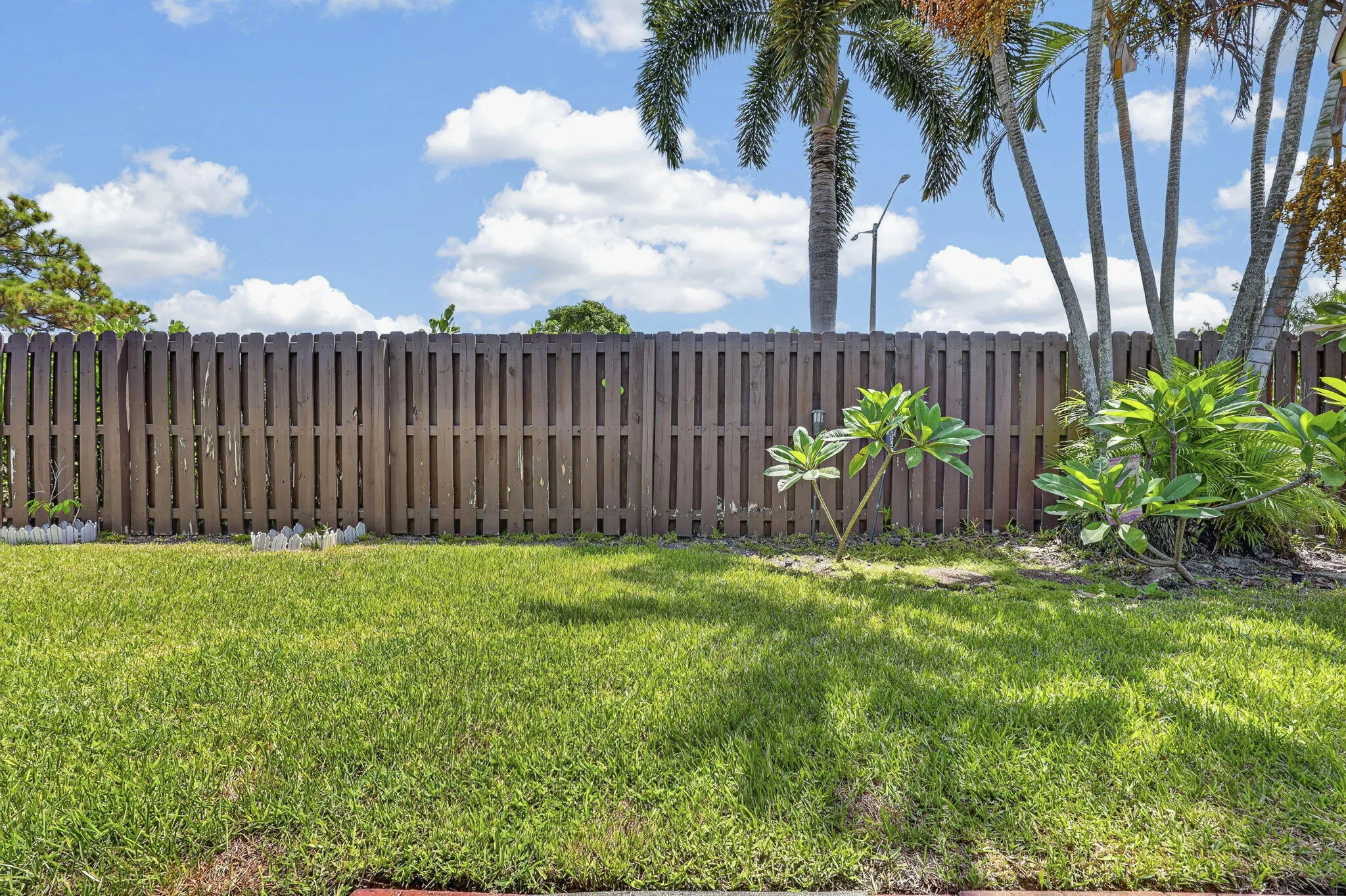 38-web-or-mls-BS1A0988