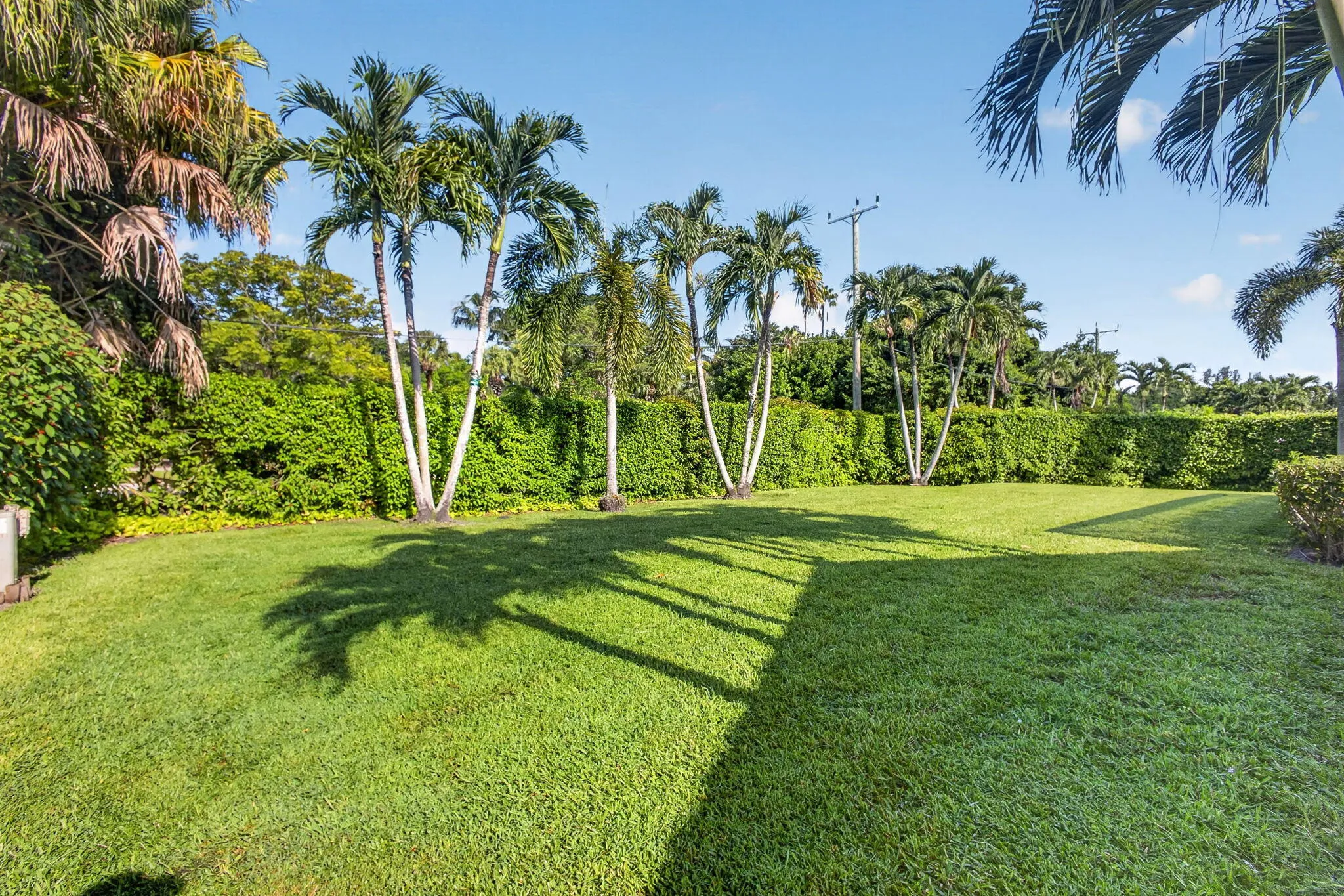 Abundant green space