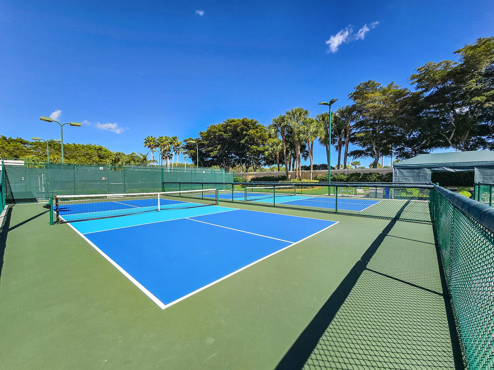 PICKLEBALL COURTS