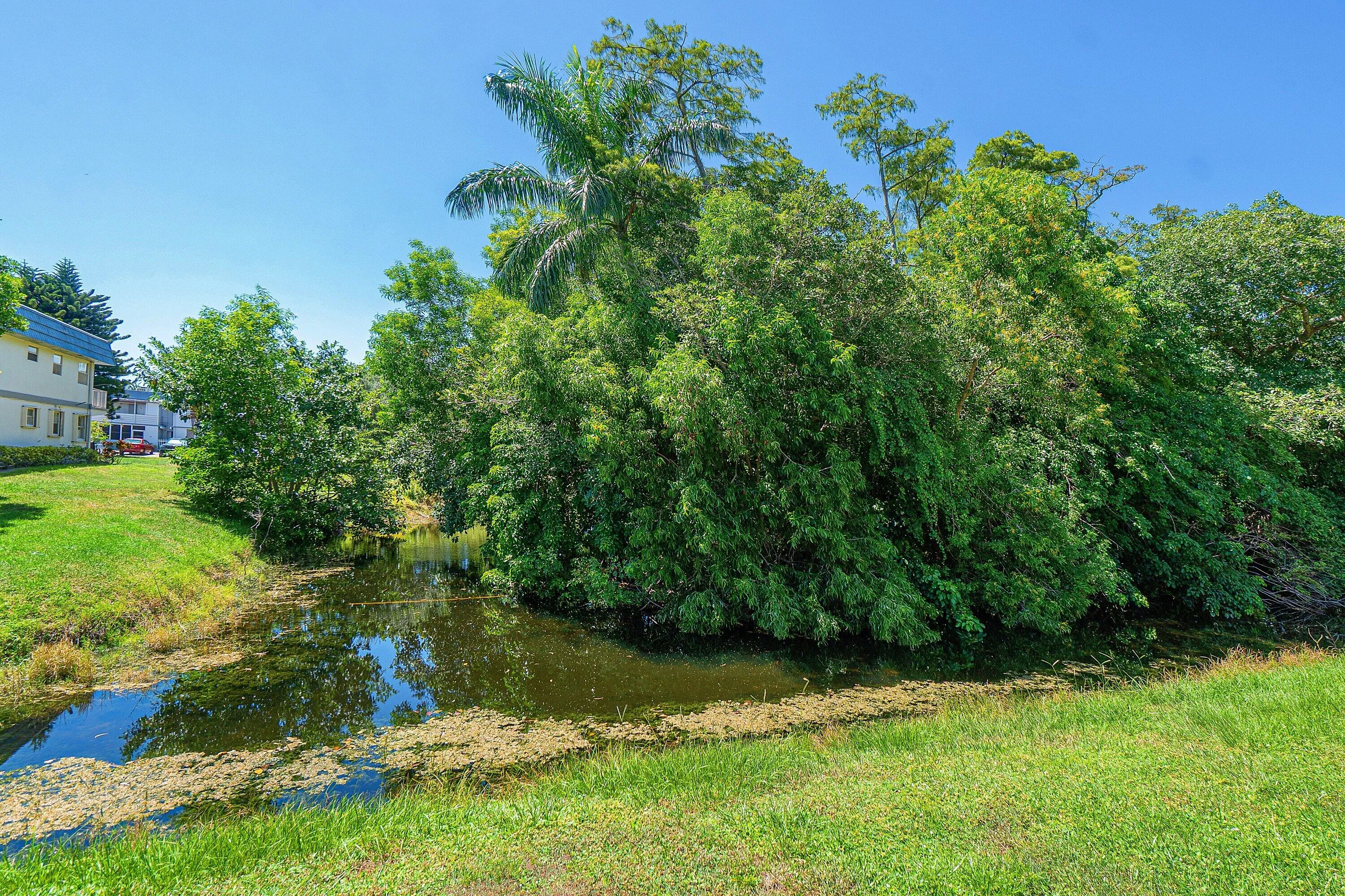 Picturesque grounds featuring expansive manicured lawn, a tranquil creek running through the property, and mature trees providing natural screening and shade