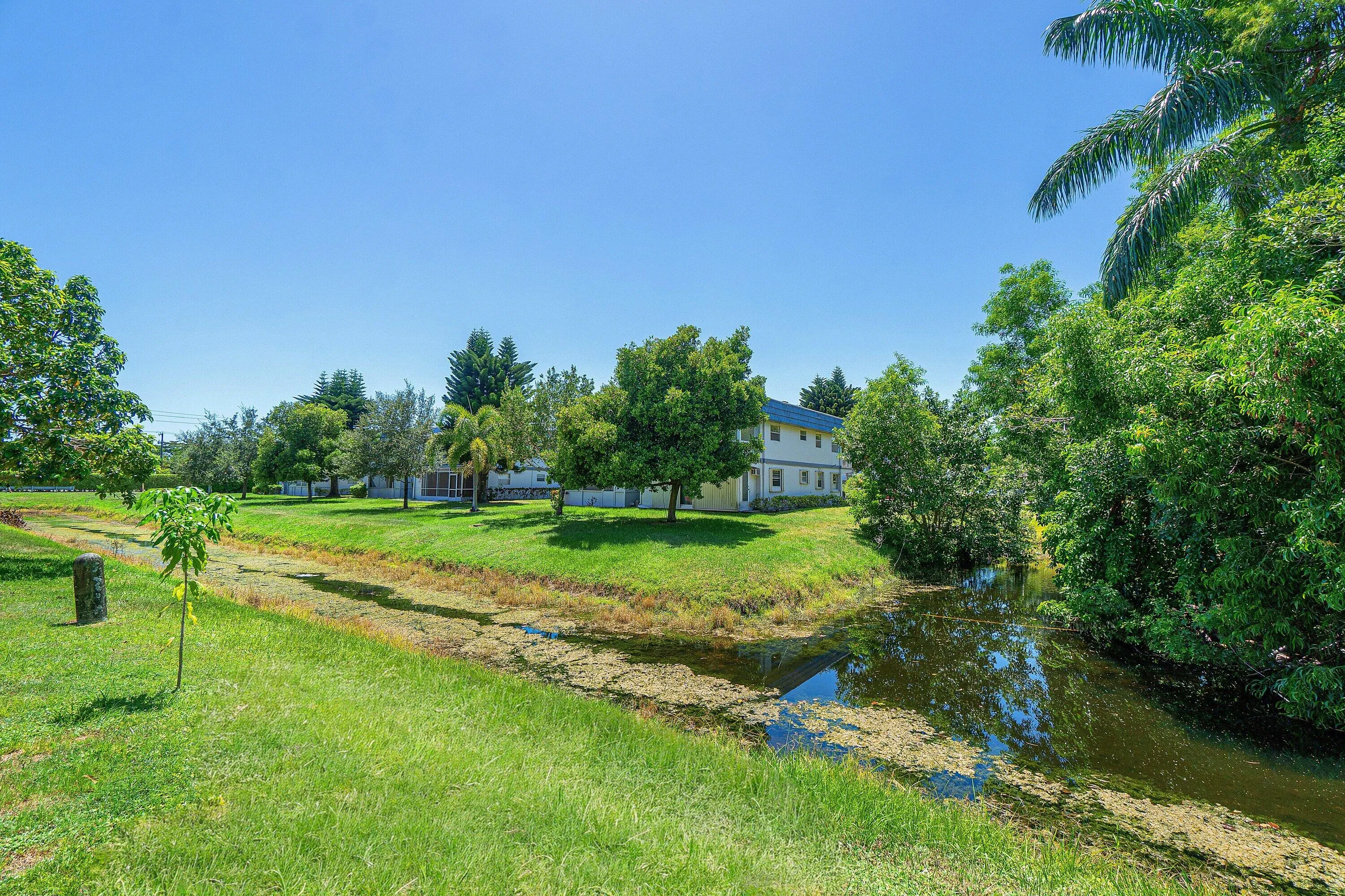 Lush green space featuring mature trees and a tranquil waterway