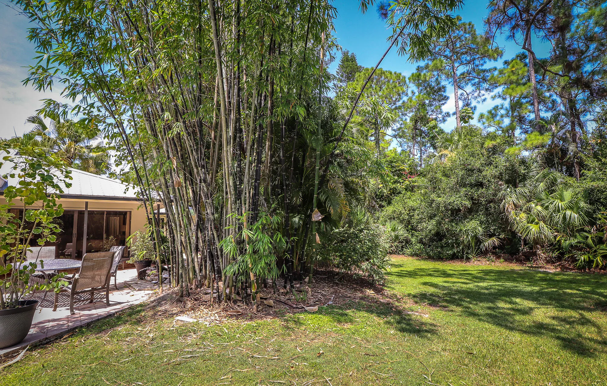 Property photo 55
