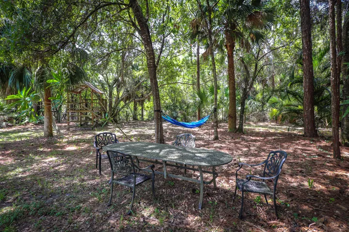 54-Back yard