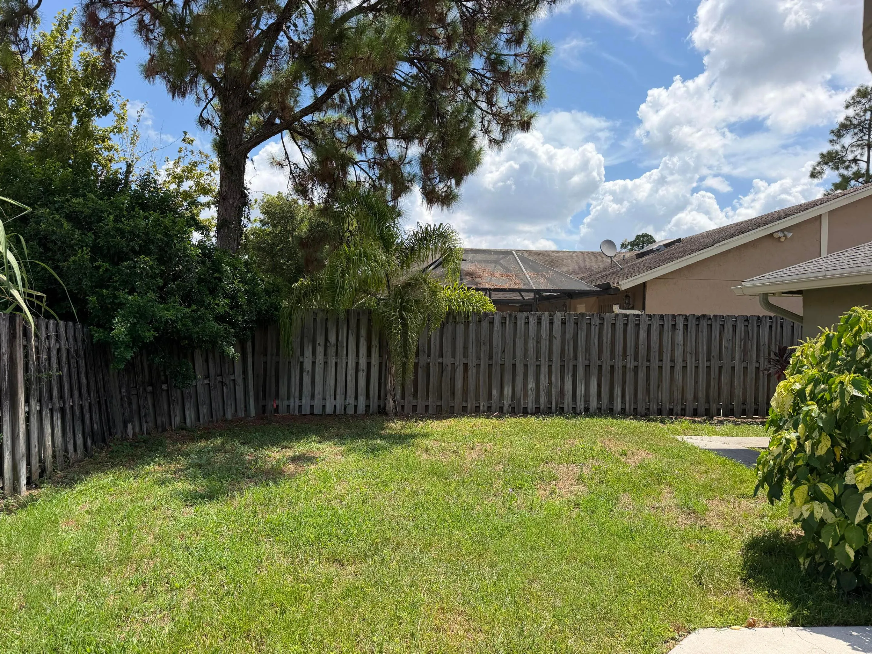 Grassy area in rear